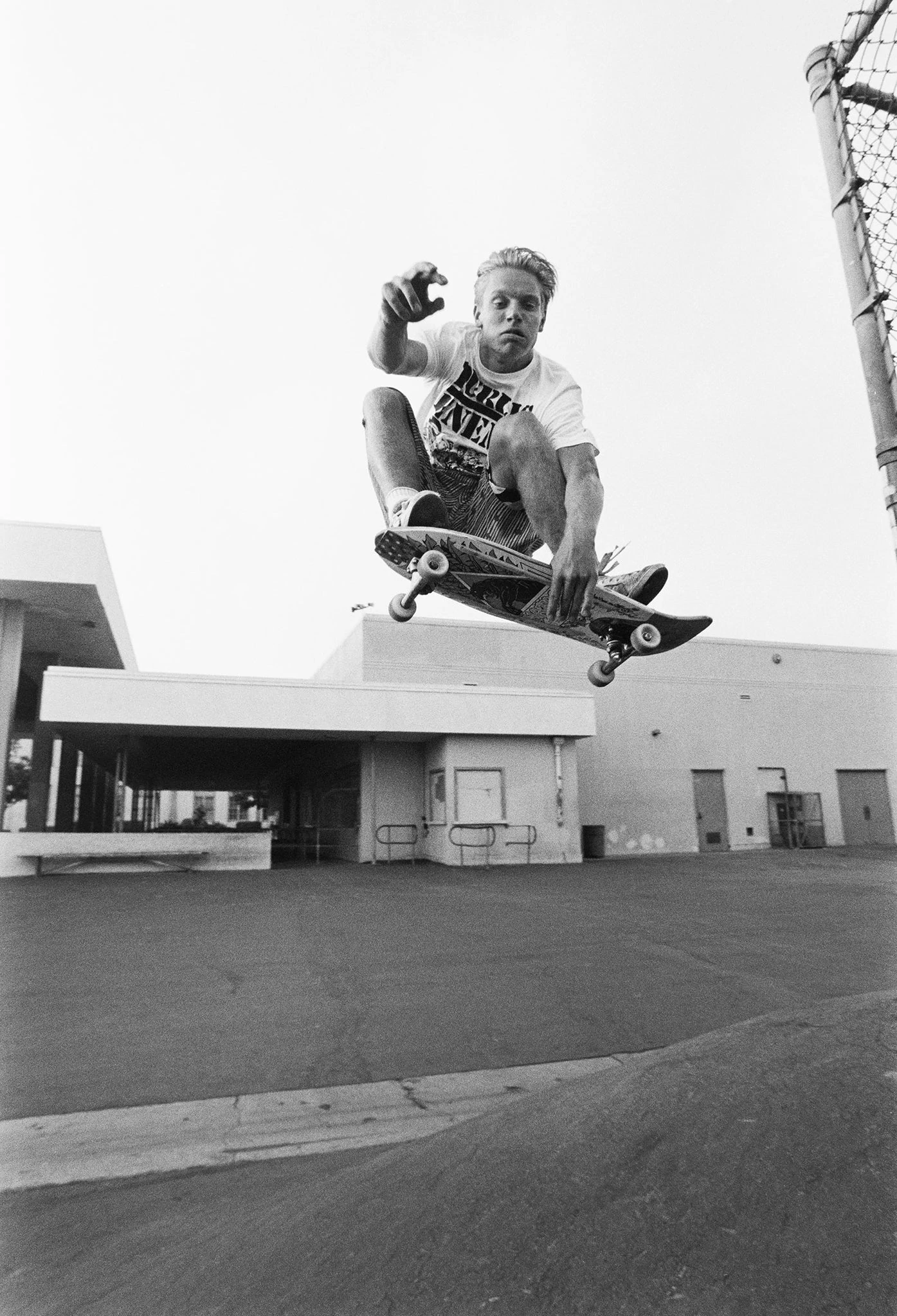 Santa Cruz Natas Panther – Planche Reissue 10.53"