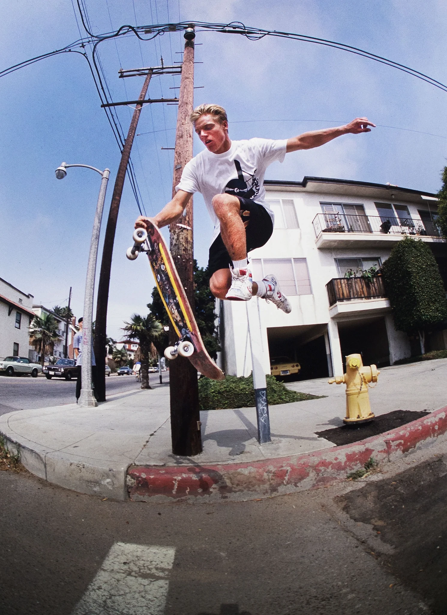 Santa Cruz Natas Panther – Planche Reissue 10.53"