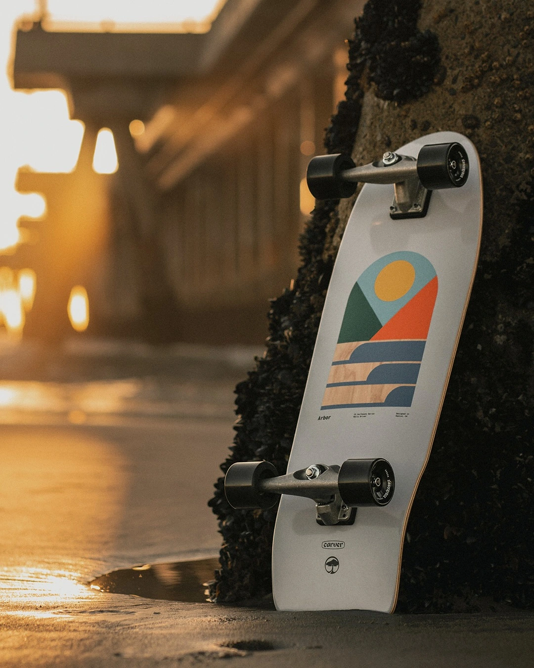 Arbor CX Daily Driver 2