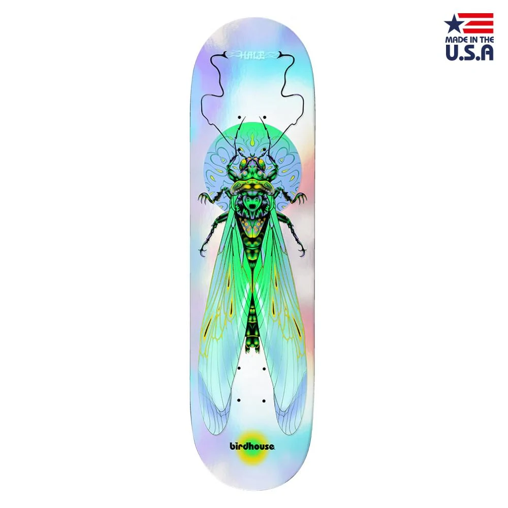 Birdhouse Hale Ilham Insects 8.75"